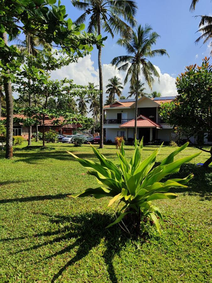 Pura Vida Varkala Hotel Eksteriør billede