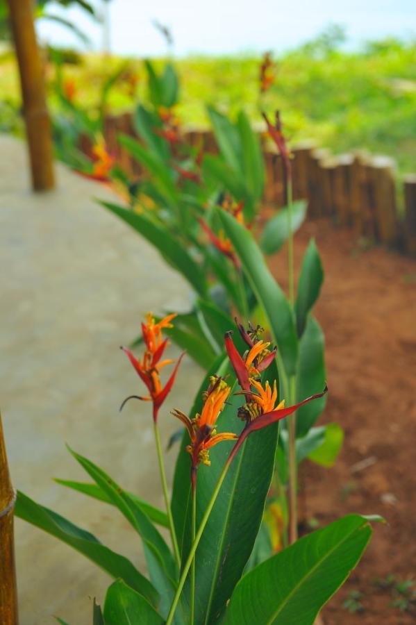 Pura Vida Varkala Hotel Eksteriør billede